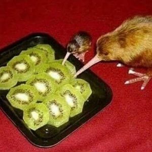 Meet your Posher, Jade